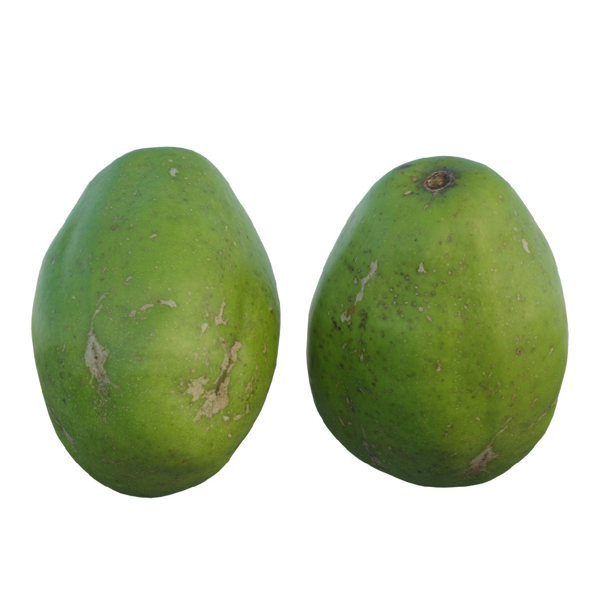 ambarella 02 3D model_7