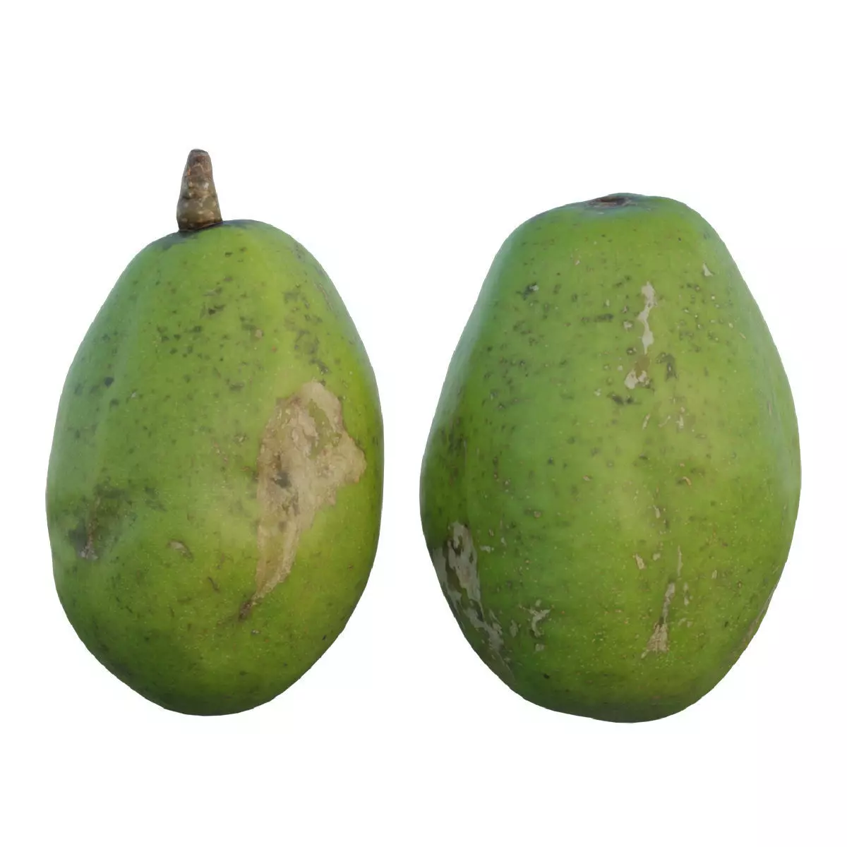 ambarella 02 3D model_0