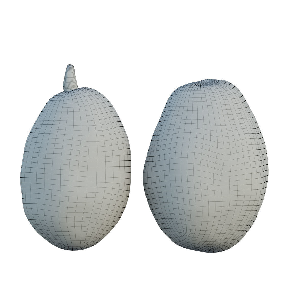 ambarella 02 3D model_1