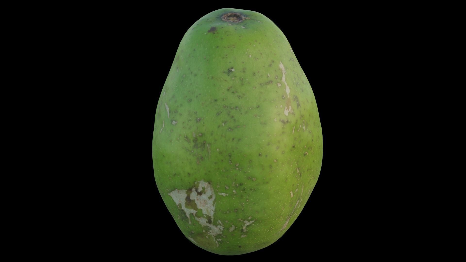 ambarella 02 3D model_11