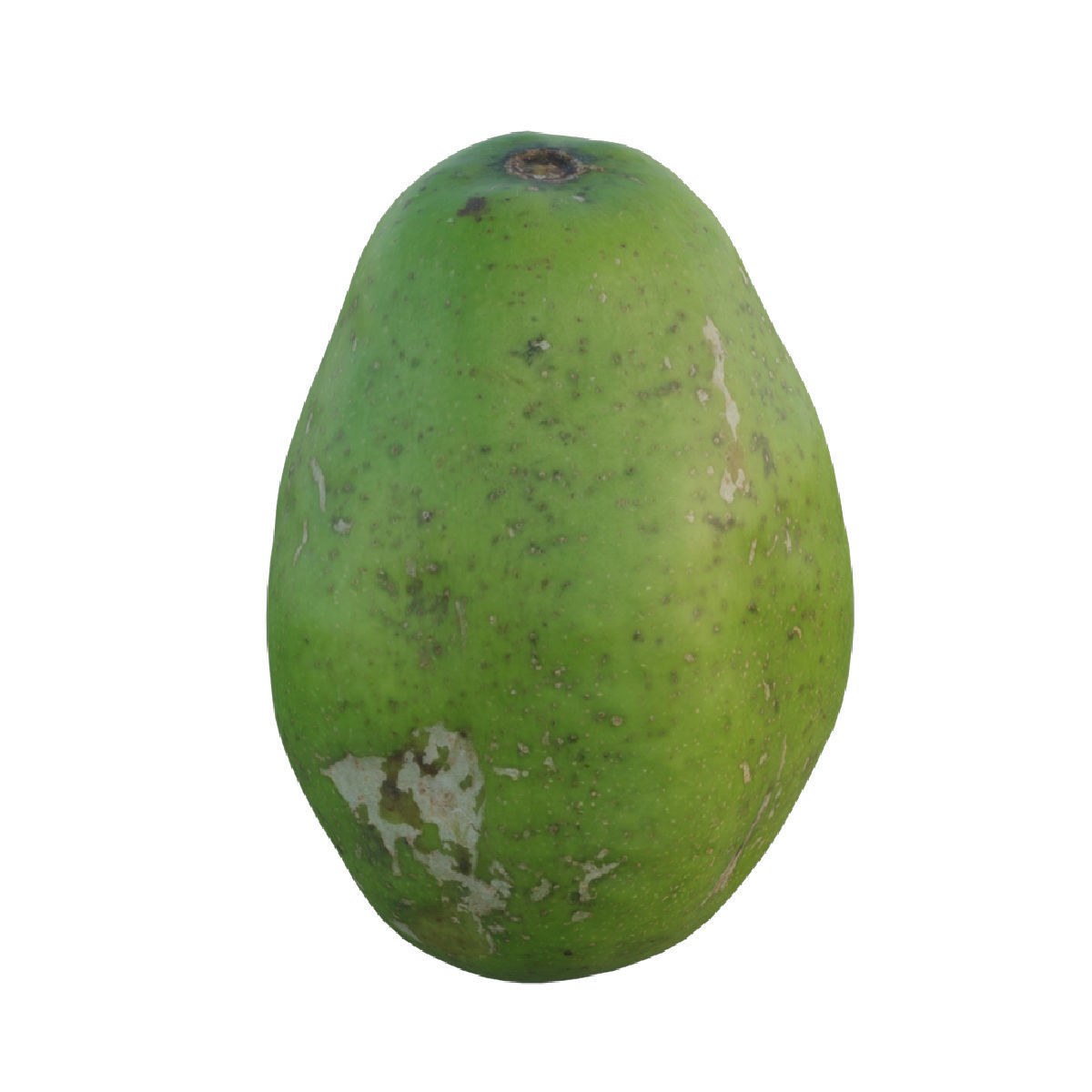 ambarella 02 3D model_3