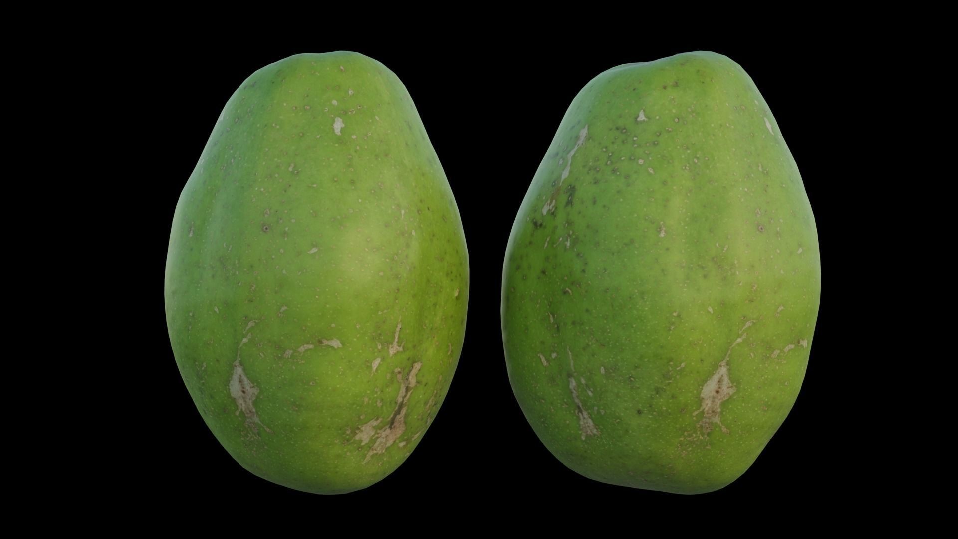 ambarella 02 3D model_14