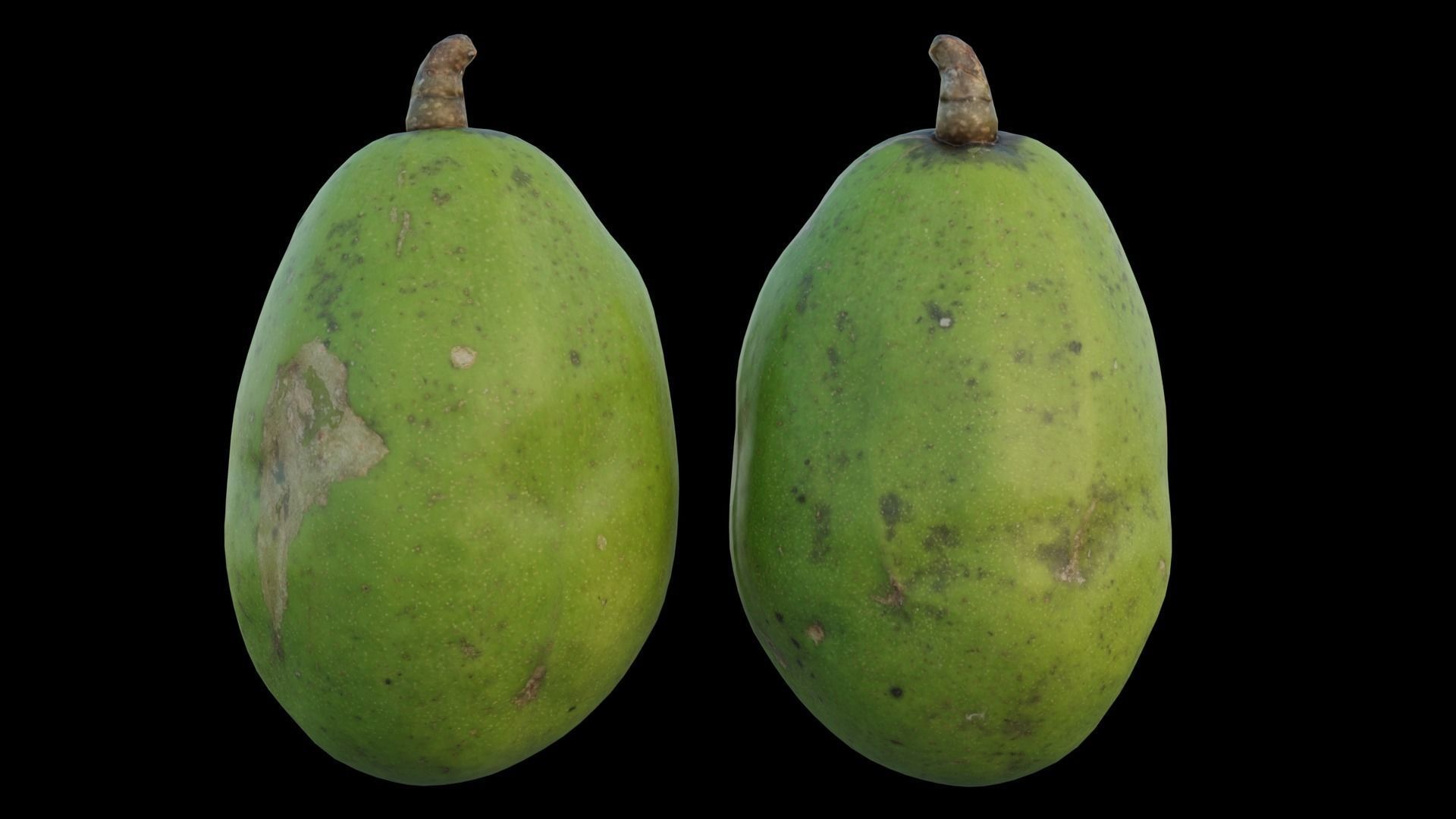 ambarella 02 3D model_12