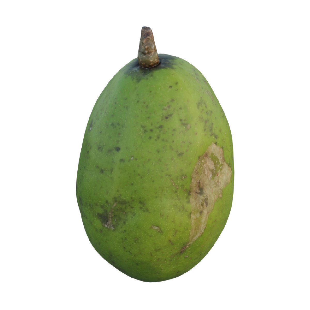 ambarella 02 3D model_2