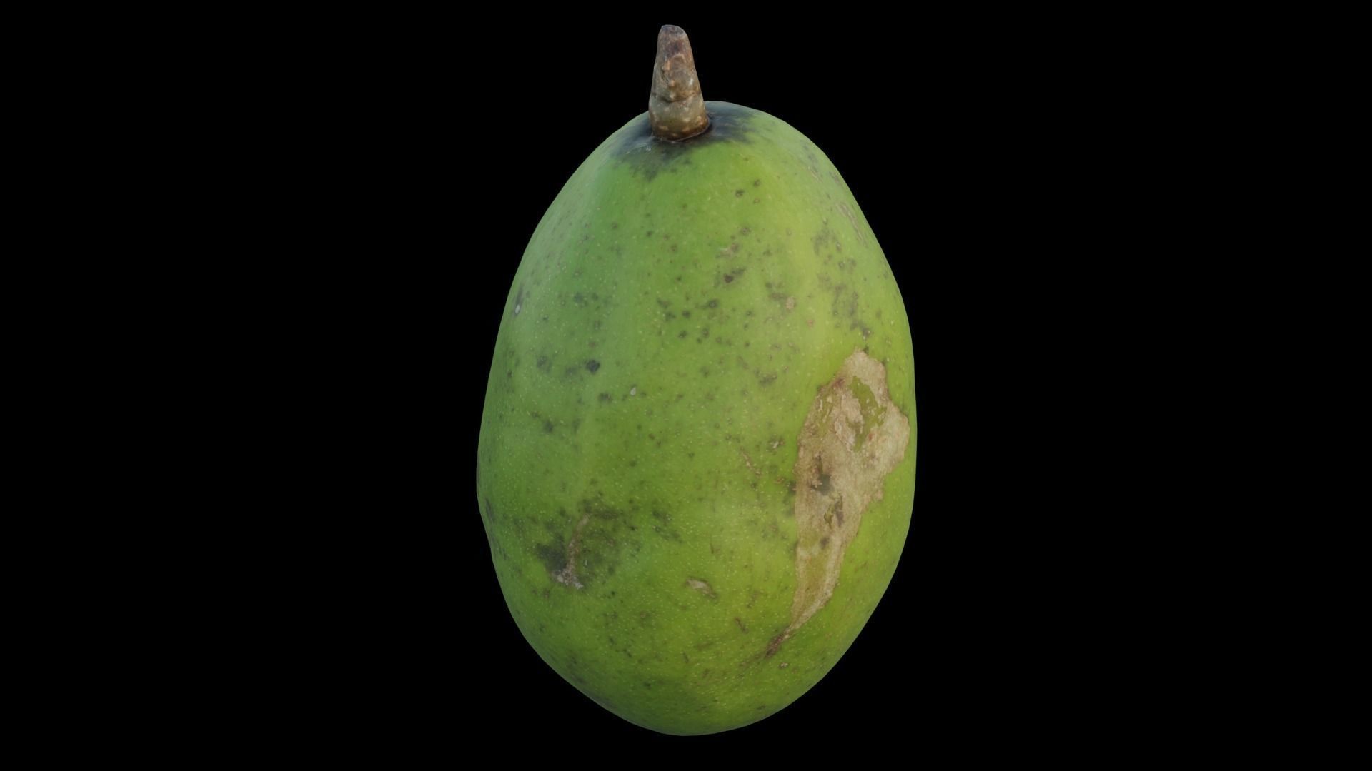 ambarella 02 3D model_10