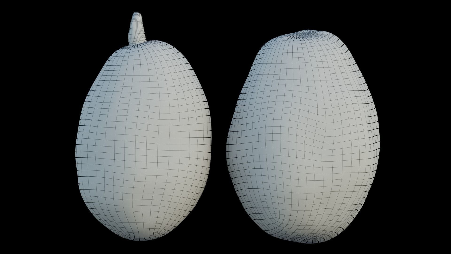 ambarella 02 3D model_9