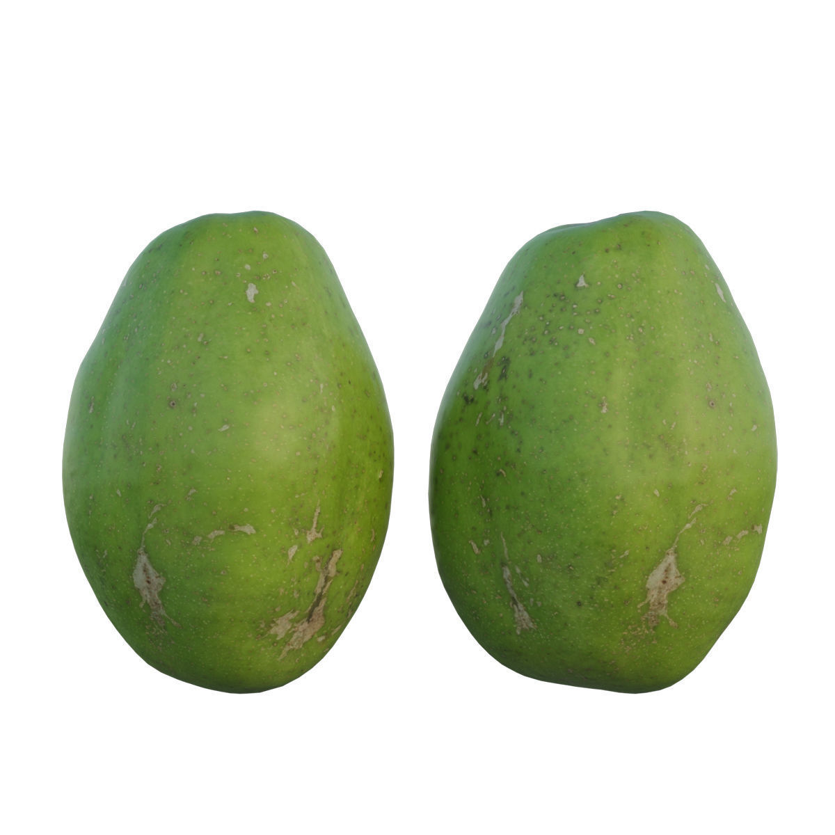 ambarella 02 3D model_6