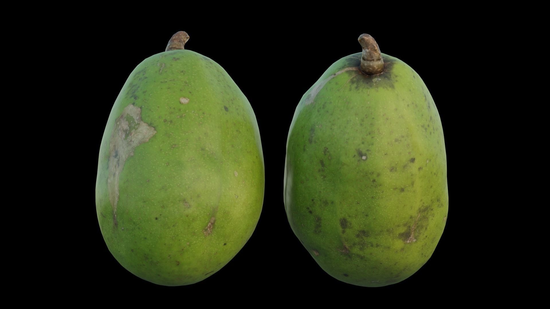 ambarella 02 3D model_13