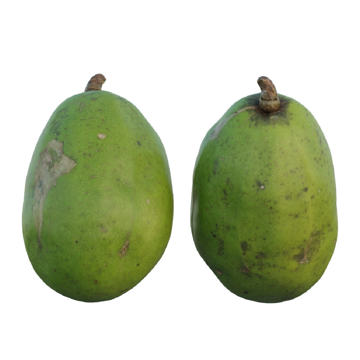 ambarella 02 3D model_5