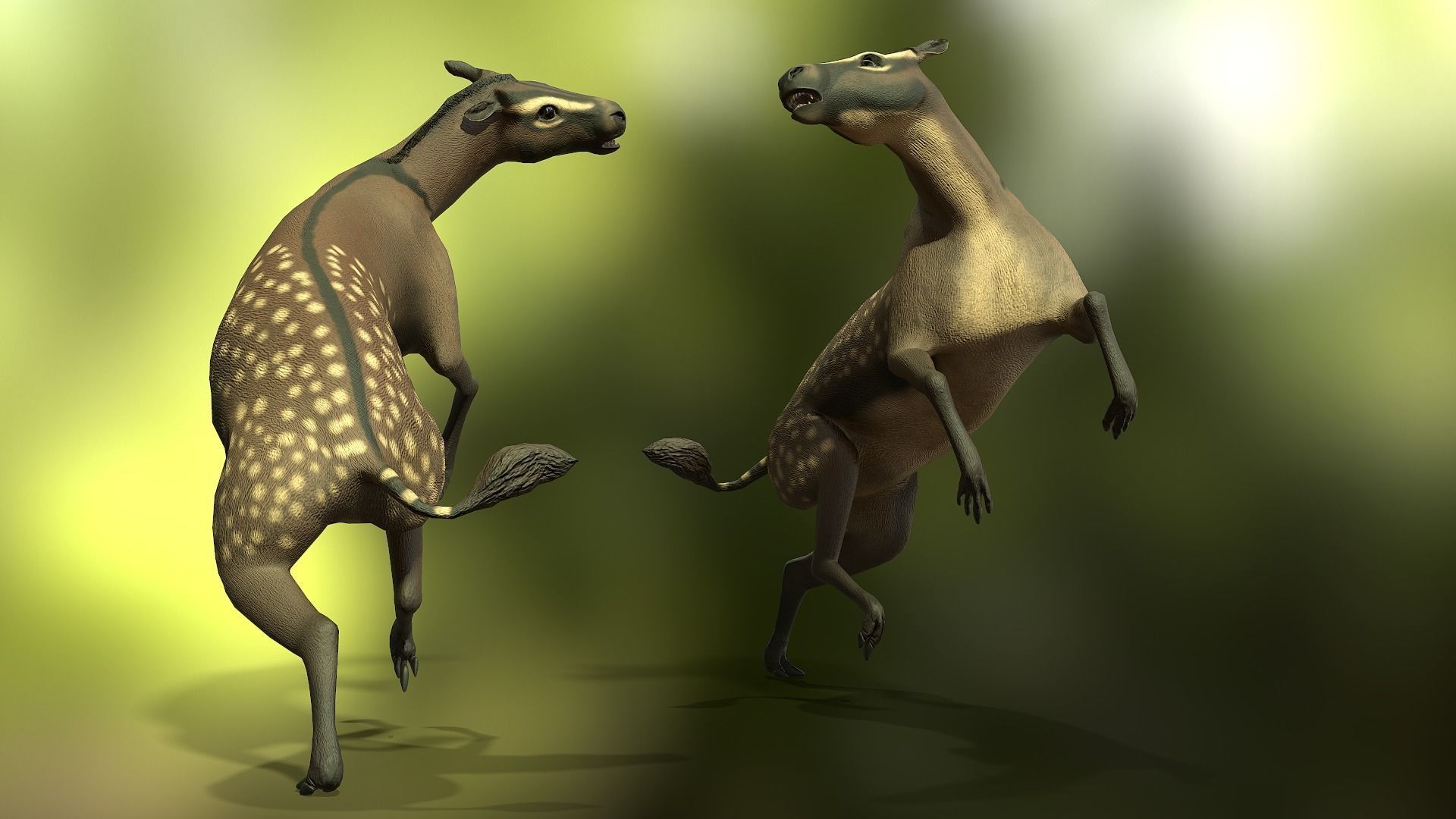 Hyracotherium Low-poly 3D model_9