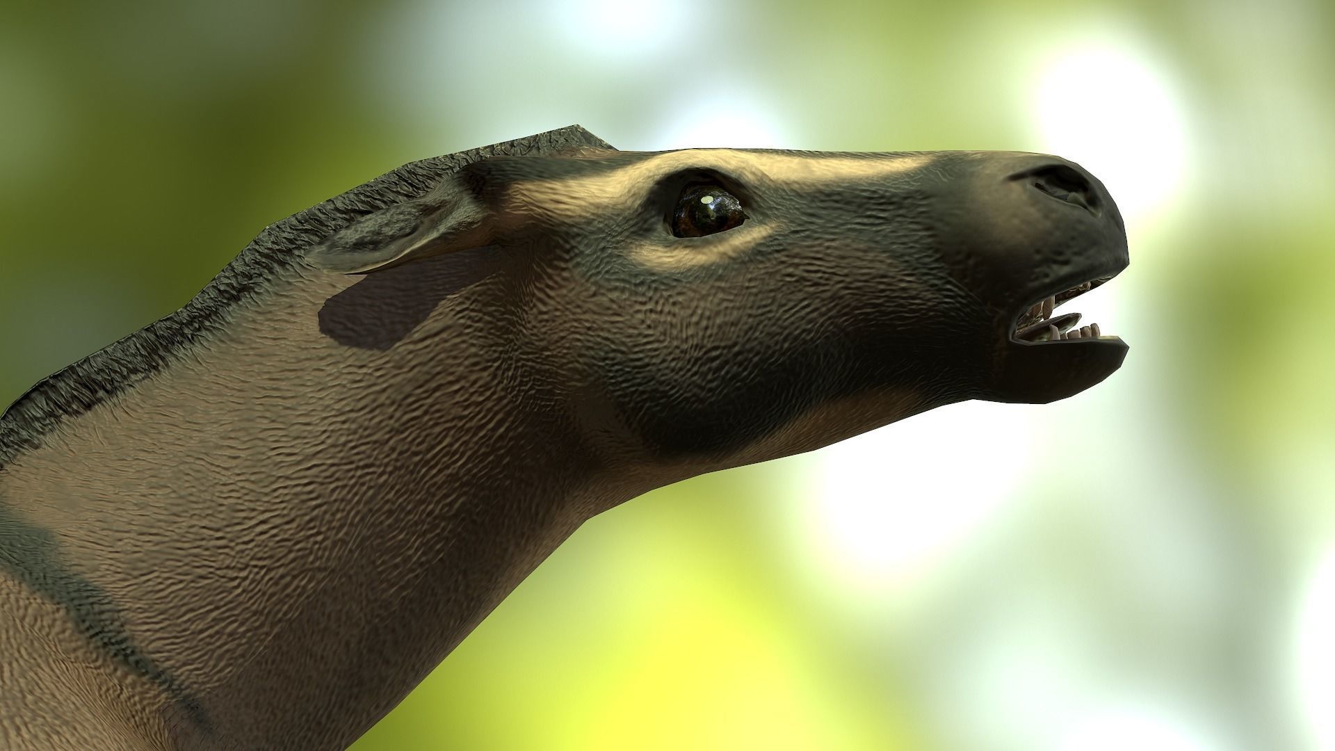 Hyracotherium Low-poly 3D model_10