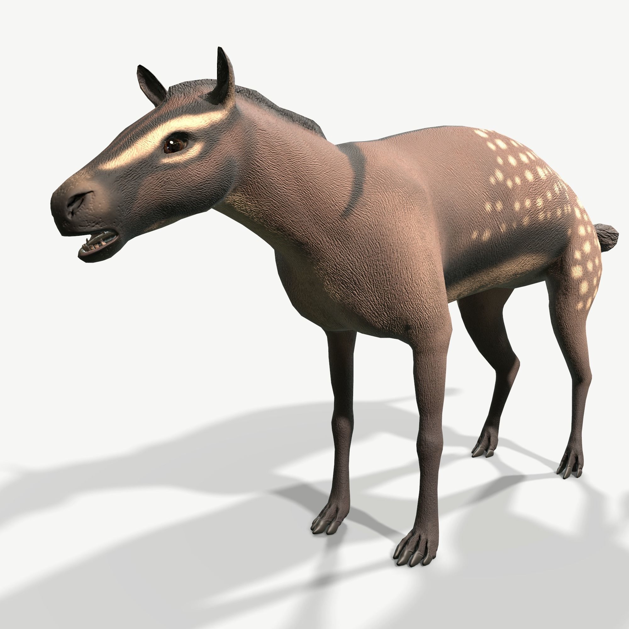 Hyracotherium Low-poly 3D model_4