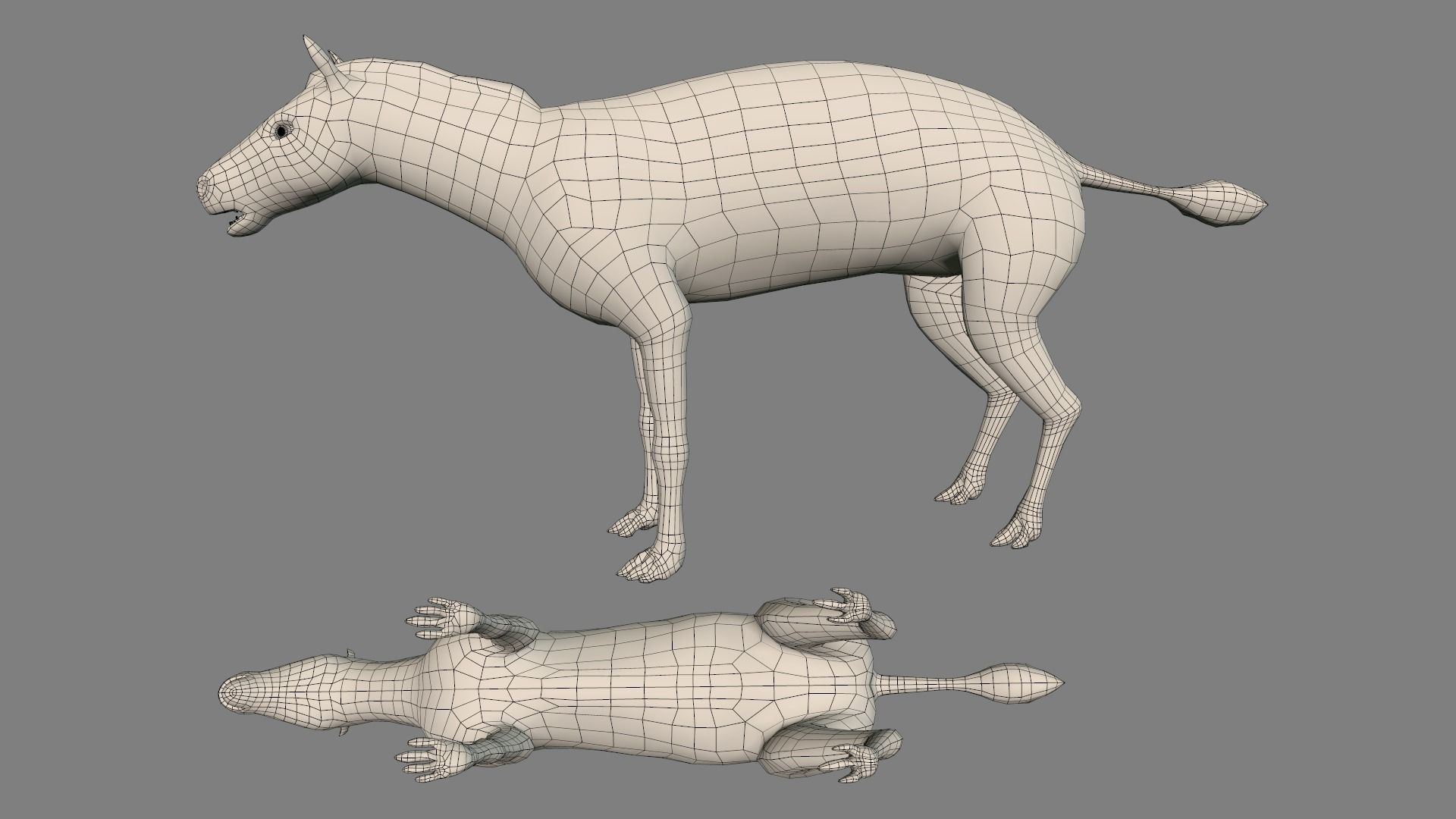 Hyracotherium Low-poly 3D model_5