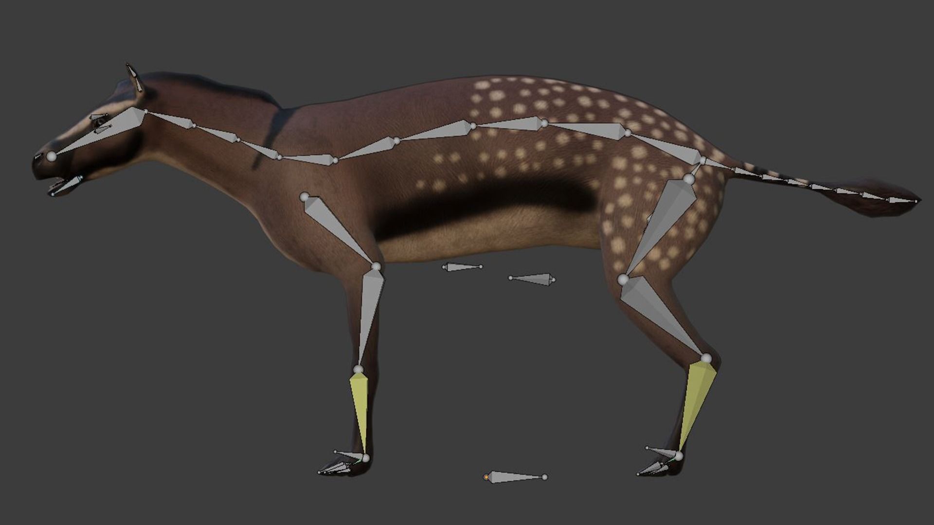 Hyracotherium Low-poly 3D model_8
