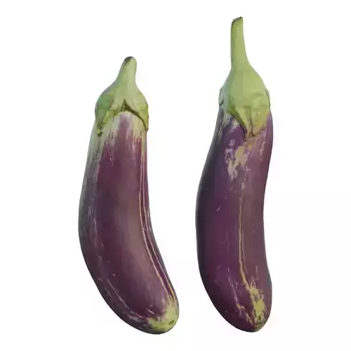Eggplant 04