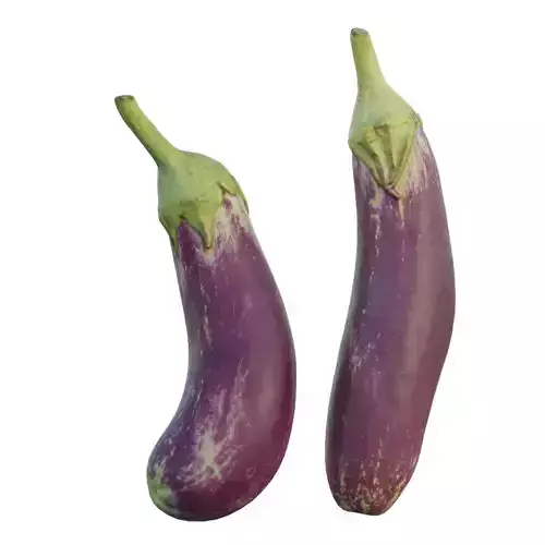 Eggplant 05