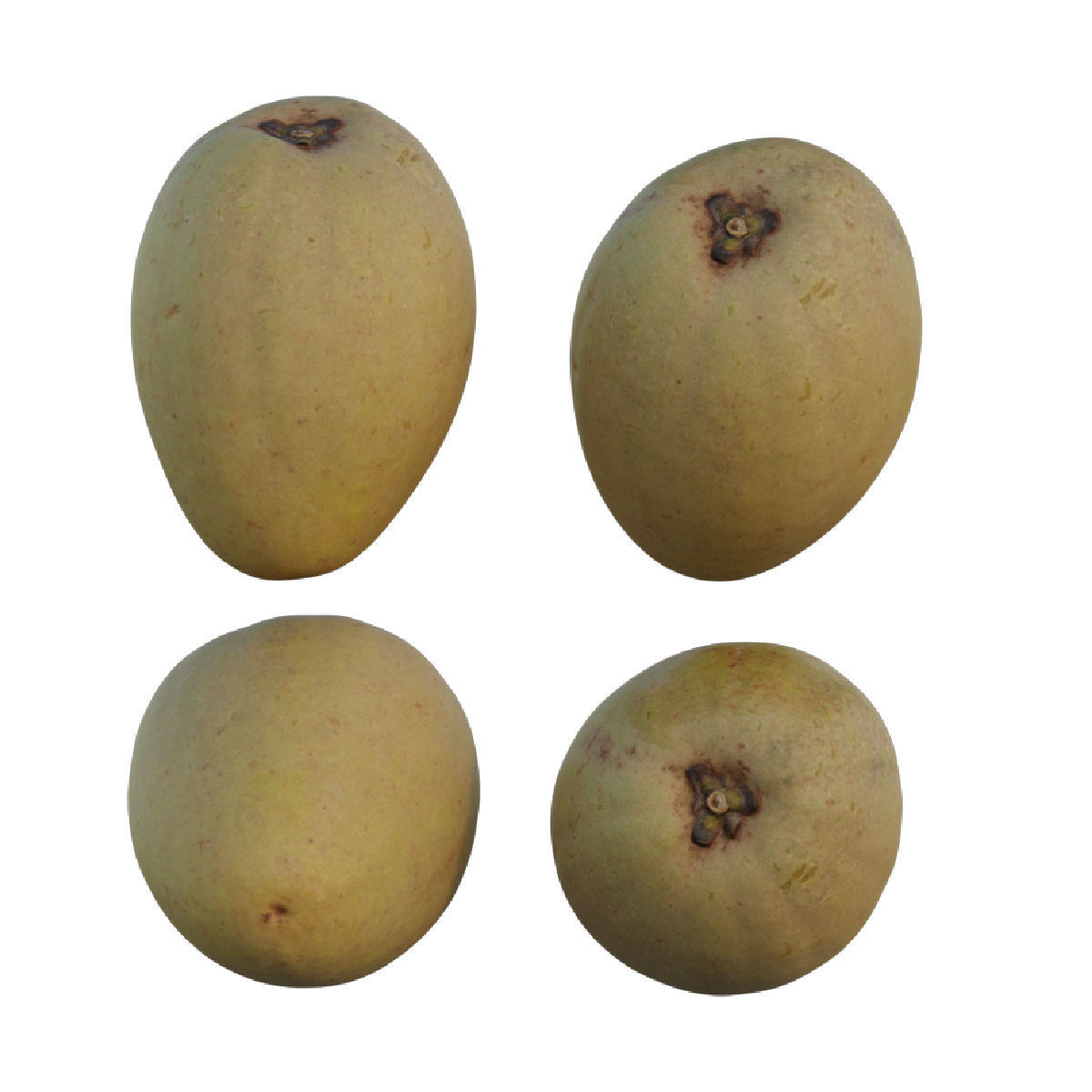 Sapodilla mangoes 3D model_10