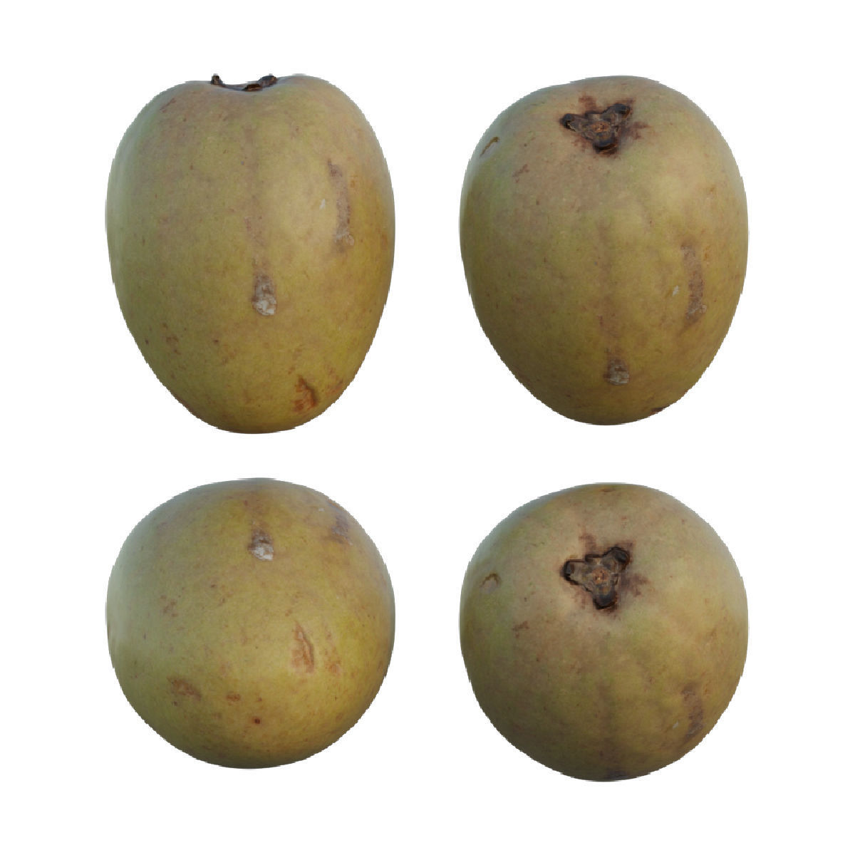 Sapodilla mangoes 3D model_1
