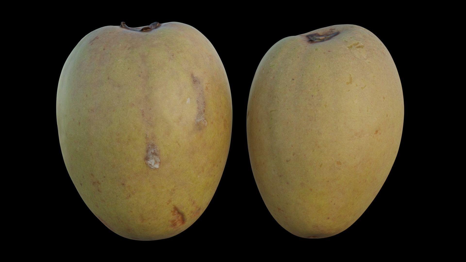Sapodilla mangoes 3D model_5