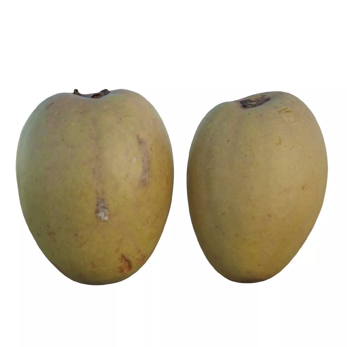 Sapodilla mangoes 3D model_0