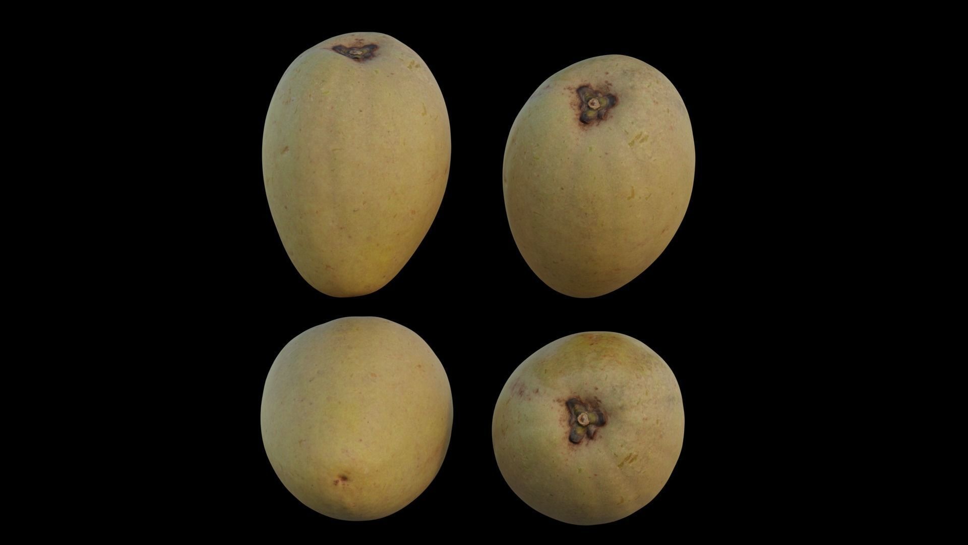 Sapodilla mangoes 3D model_9