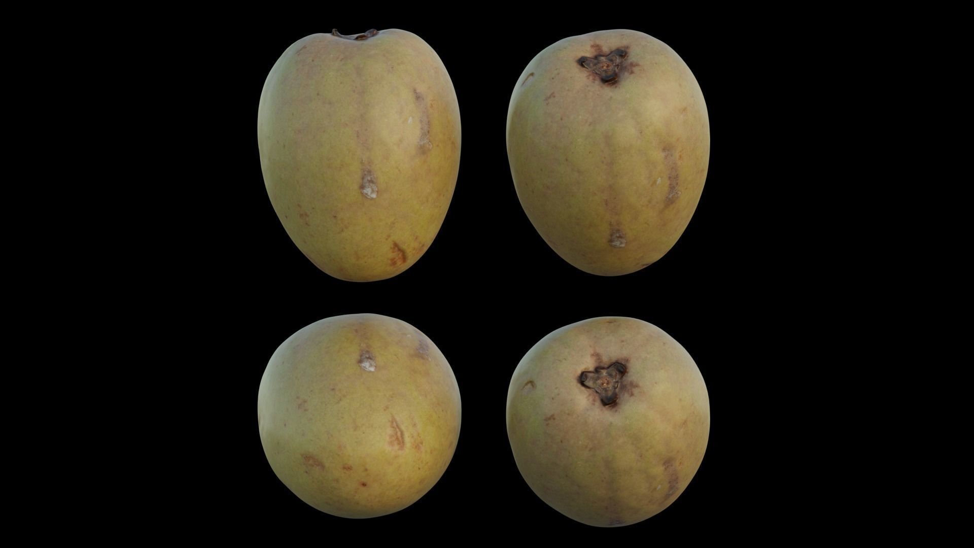 Sapodilla mangoes 3D model_8