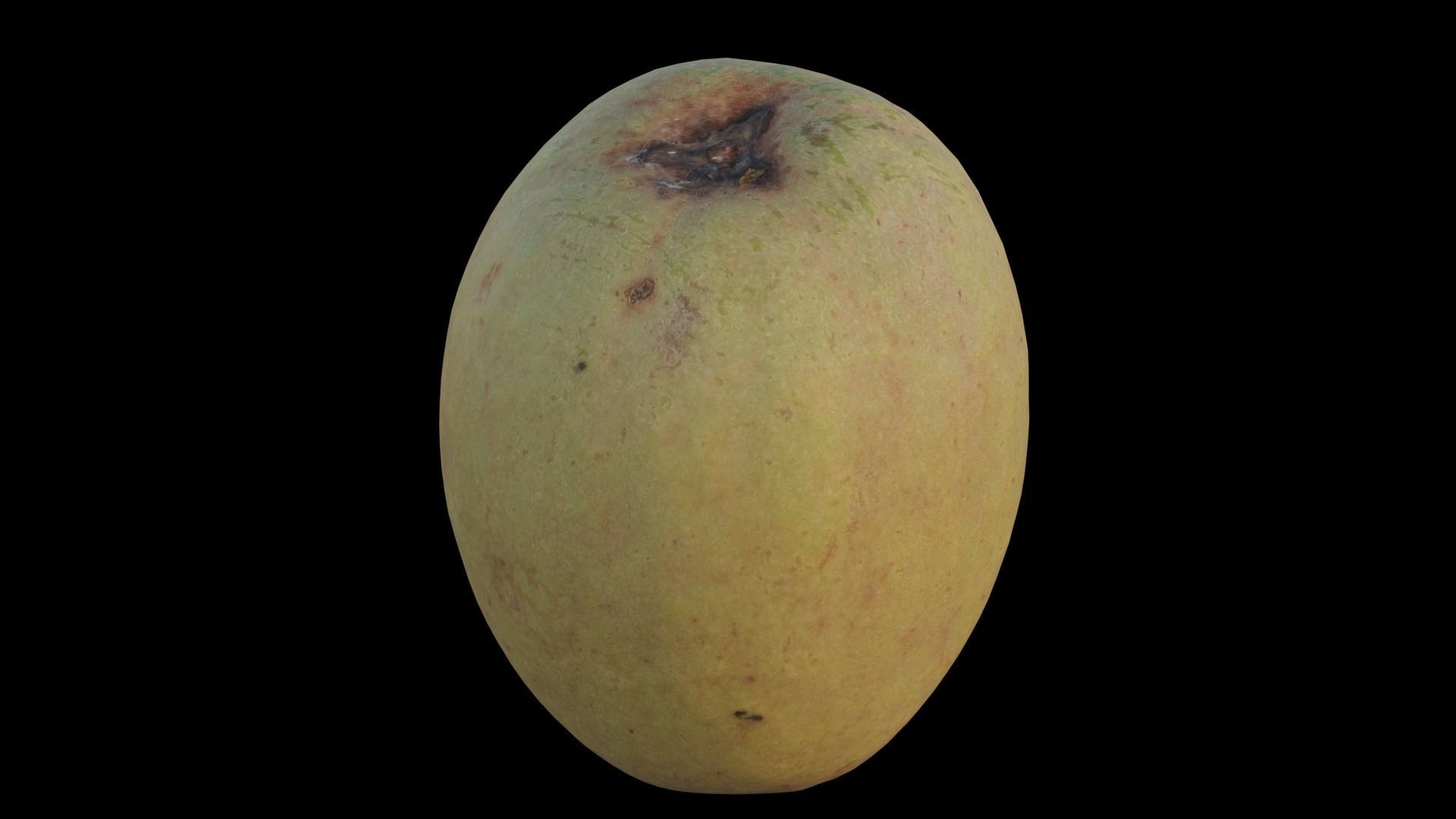 Sapodilla 02 3D model_11