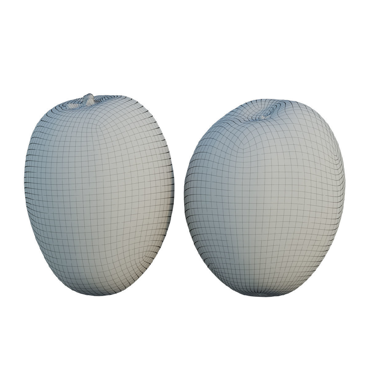 Sapodilla 02 3D model_1