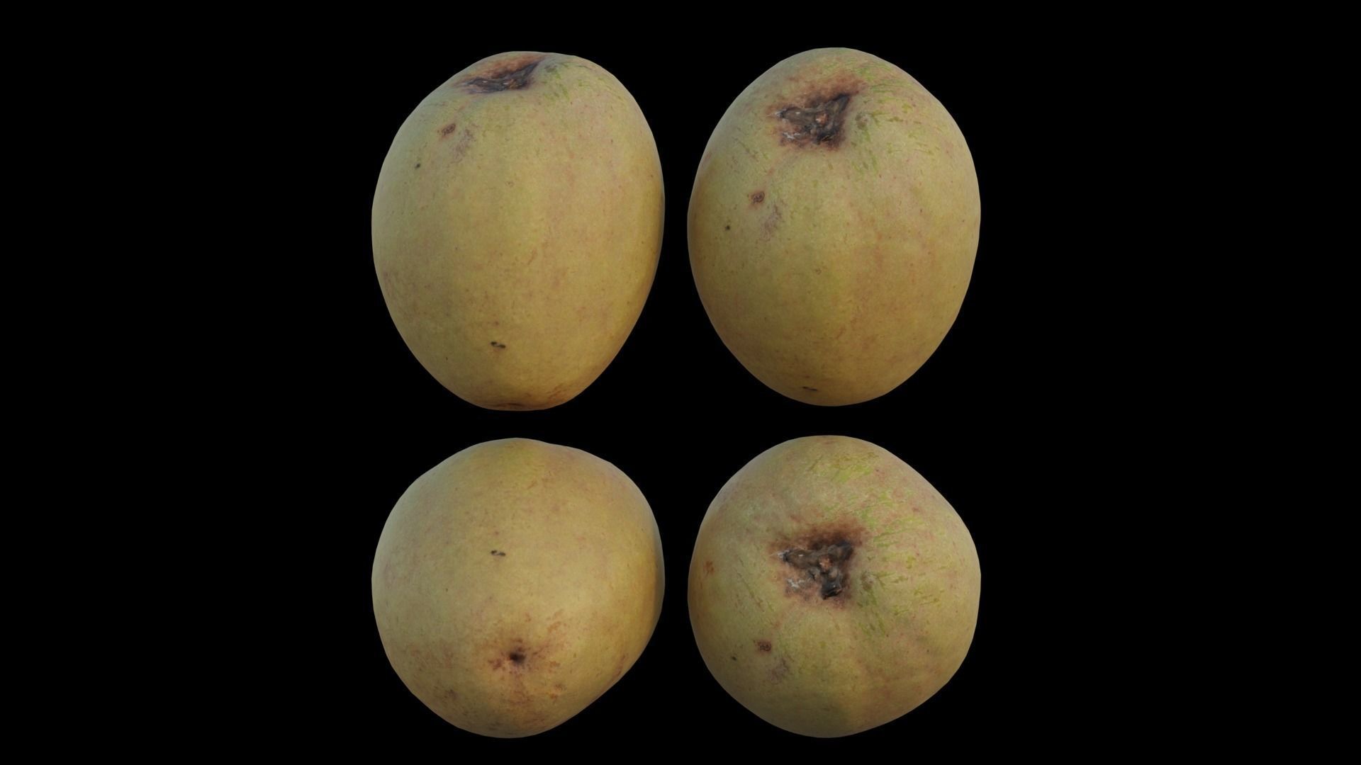 Sapodilla 02 3D model_9