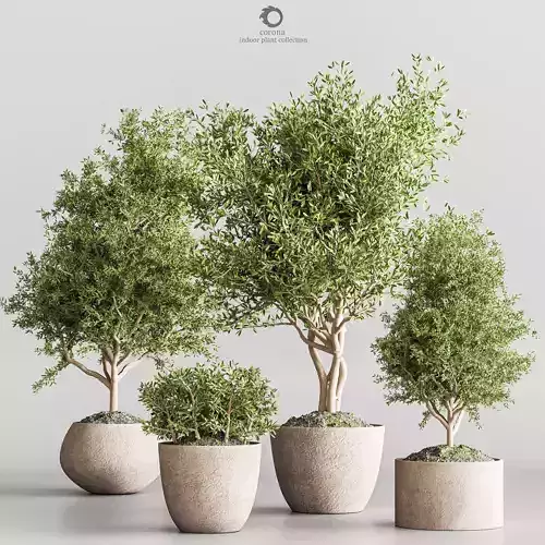 indoor plant station 62