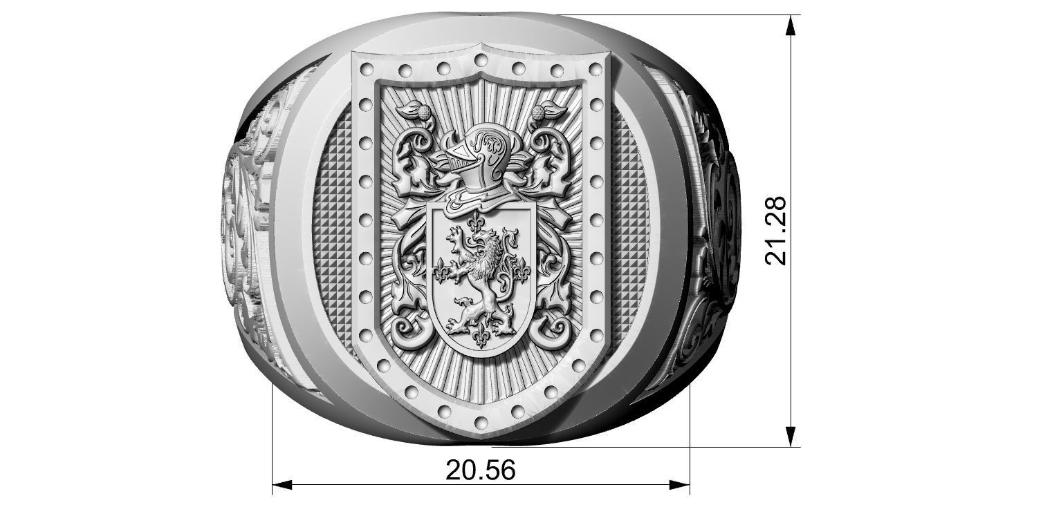 Coat of Arms Family - Ring and Pendant 3D print model_10