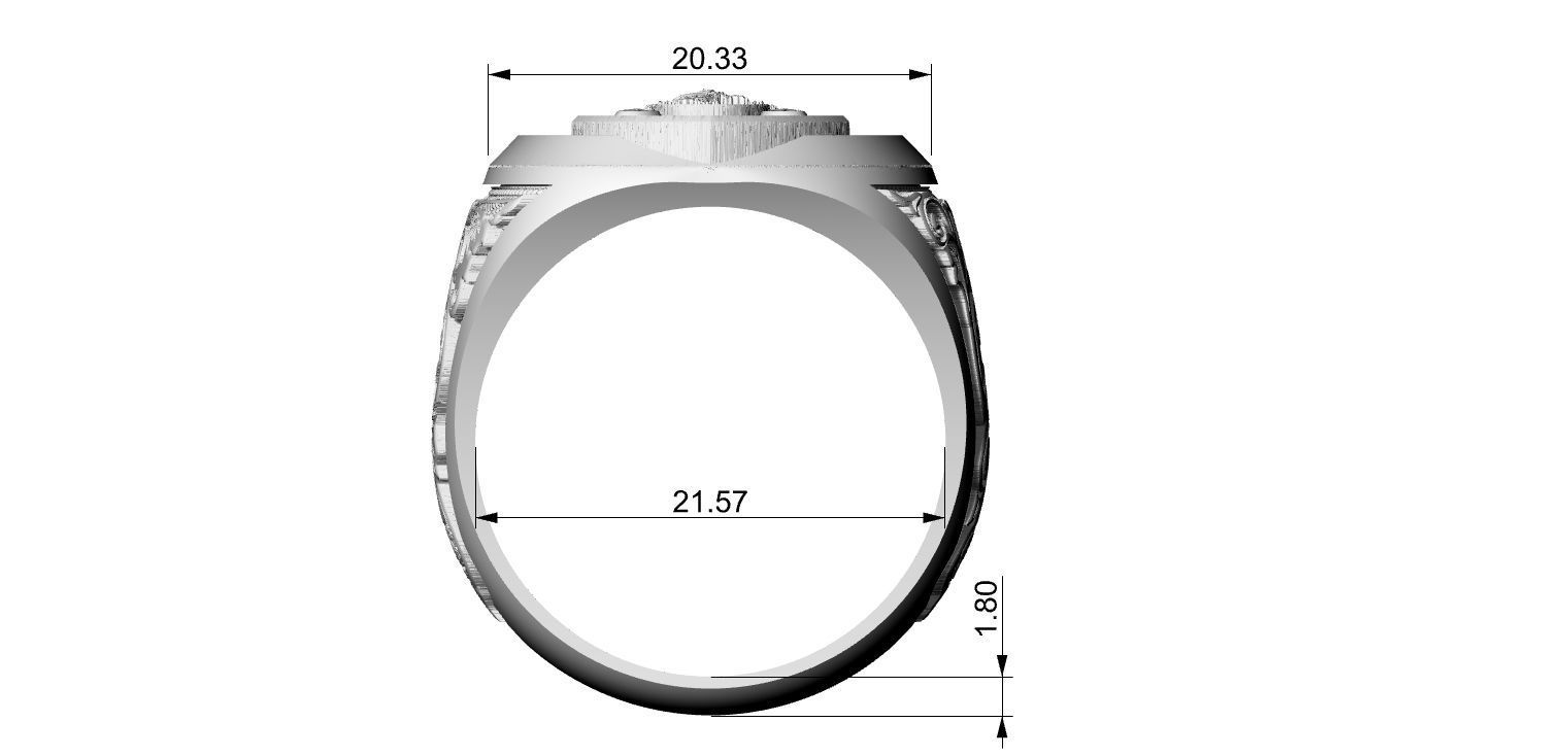 Coat of Arms Family - Ring and Pendant 3D print model_9