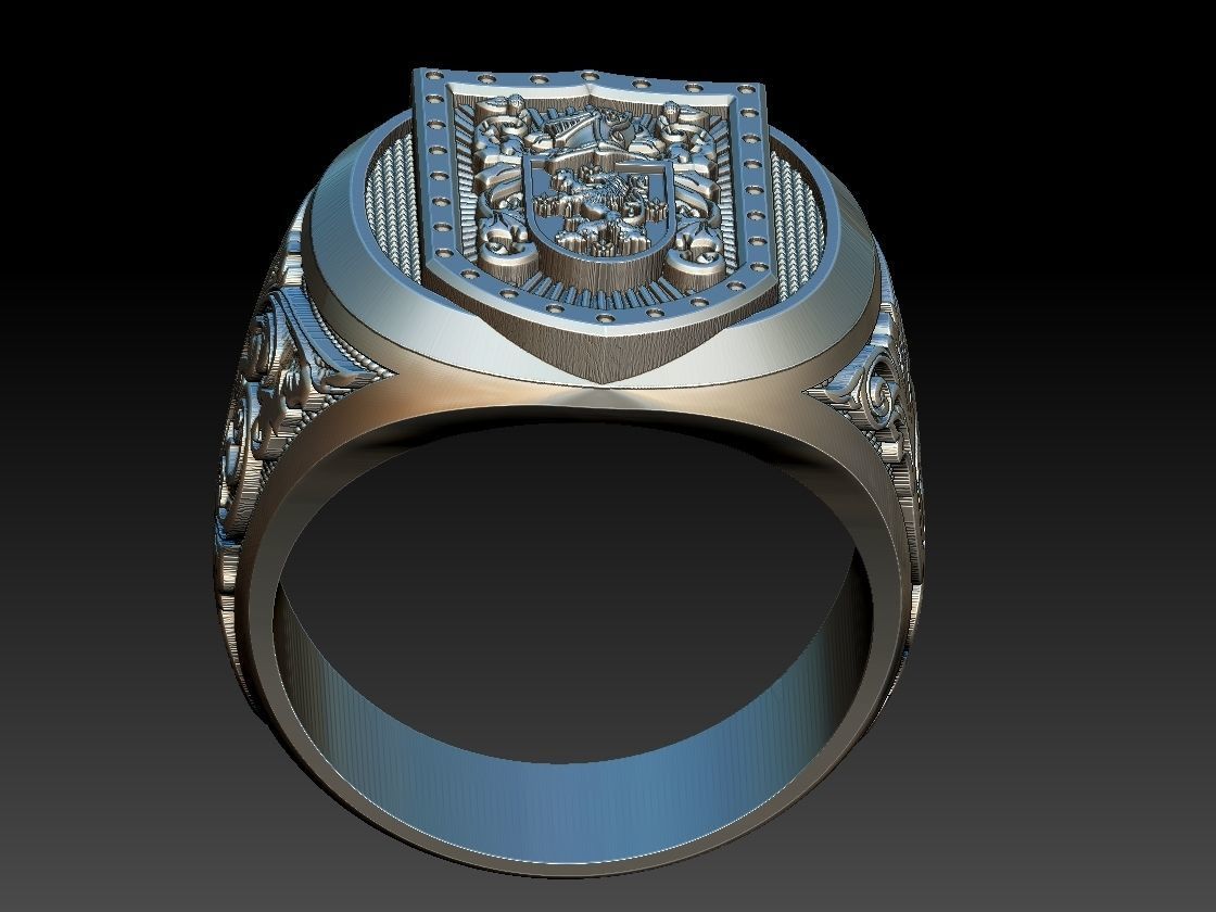 Coat of Arms Family - Ring and Pendant 3D print model_11