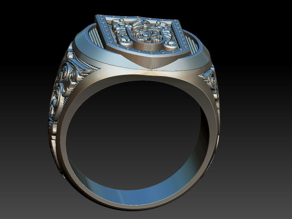 Coat of Arms Family - Ring and Pendant 3D print model_14