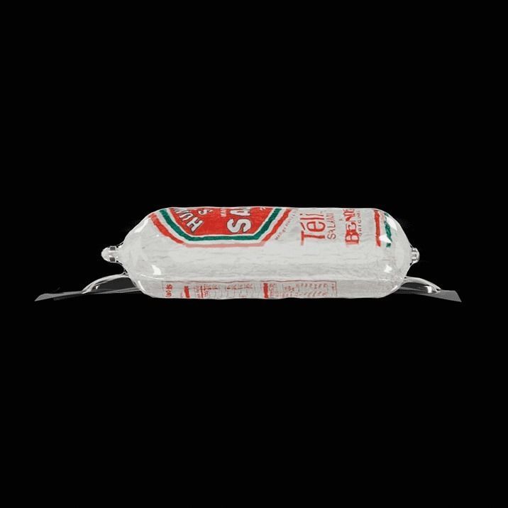 Hungarian Salami 3D model_7
