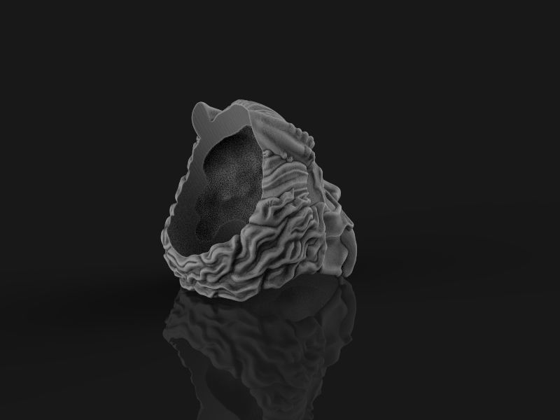 Ring Japanese demon 3d model for 3d printing 3D print model 3D print model_12