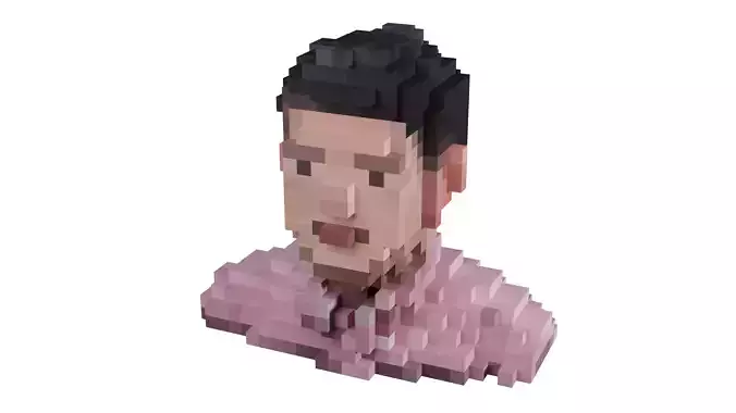 Human Voxel