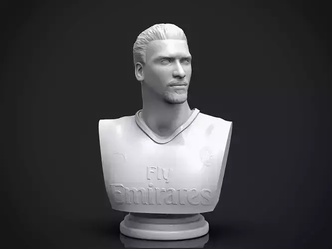 Ibrahimovic 3D Printable 3D print model
