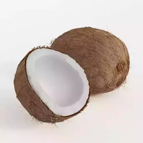 One Whole Coconut And One Half Of A Coconut 3D model