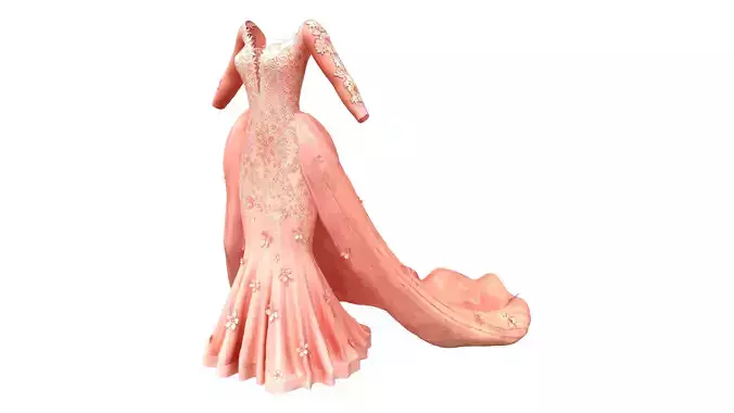 Prom Dress With Tail