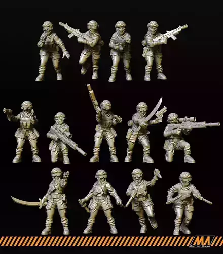 Desert Raiders 3D print model