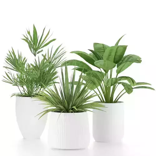 Plant-Set-001 plant in pot Free 3D model