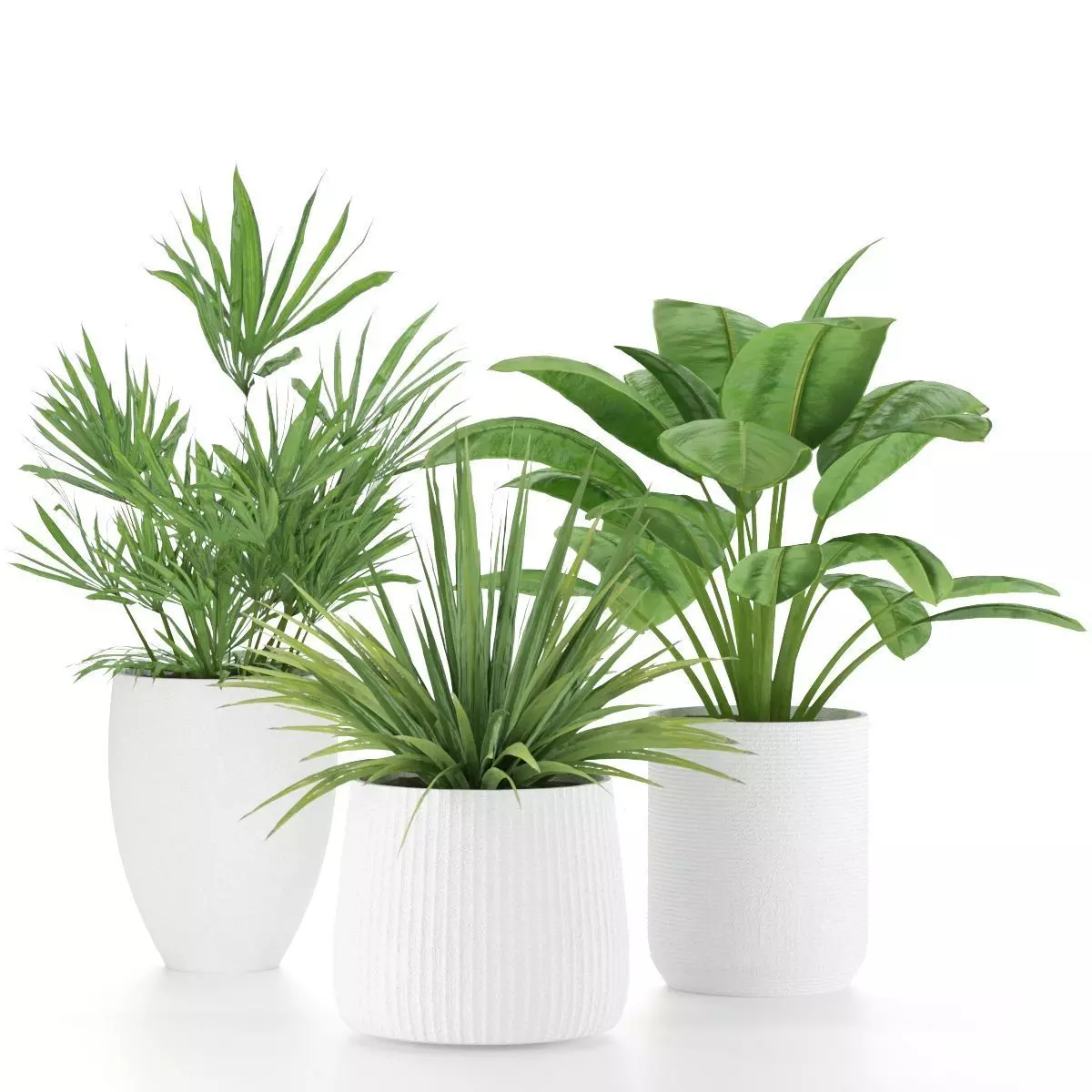 Plant-Set-001 plant in pot Free 3D model