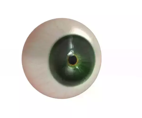 eye ball