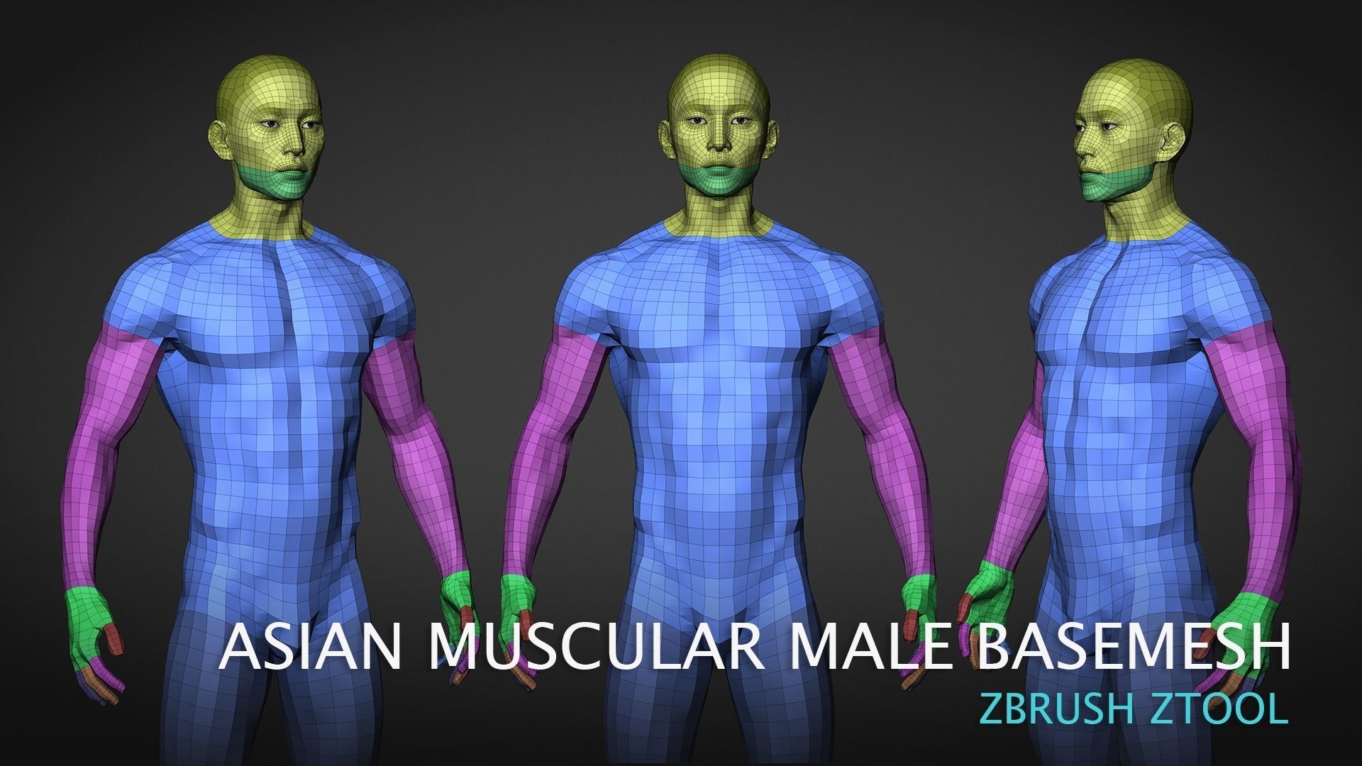Asian Muscular Male Base mesh 3D model_3