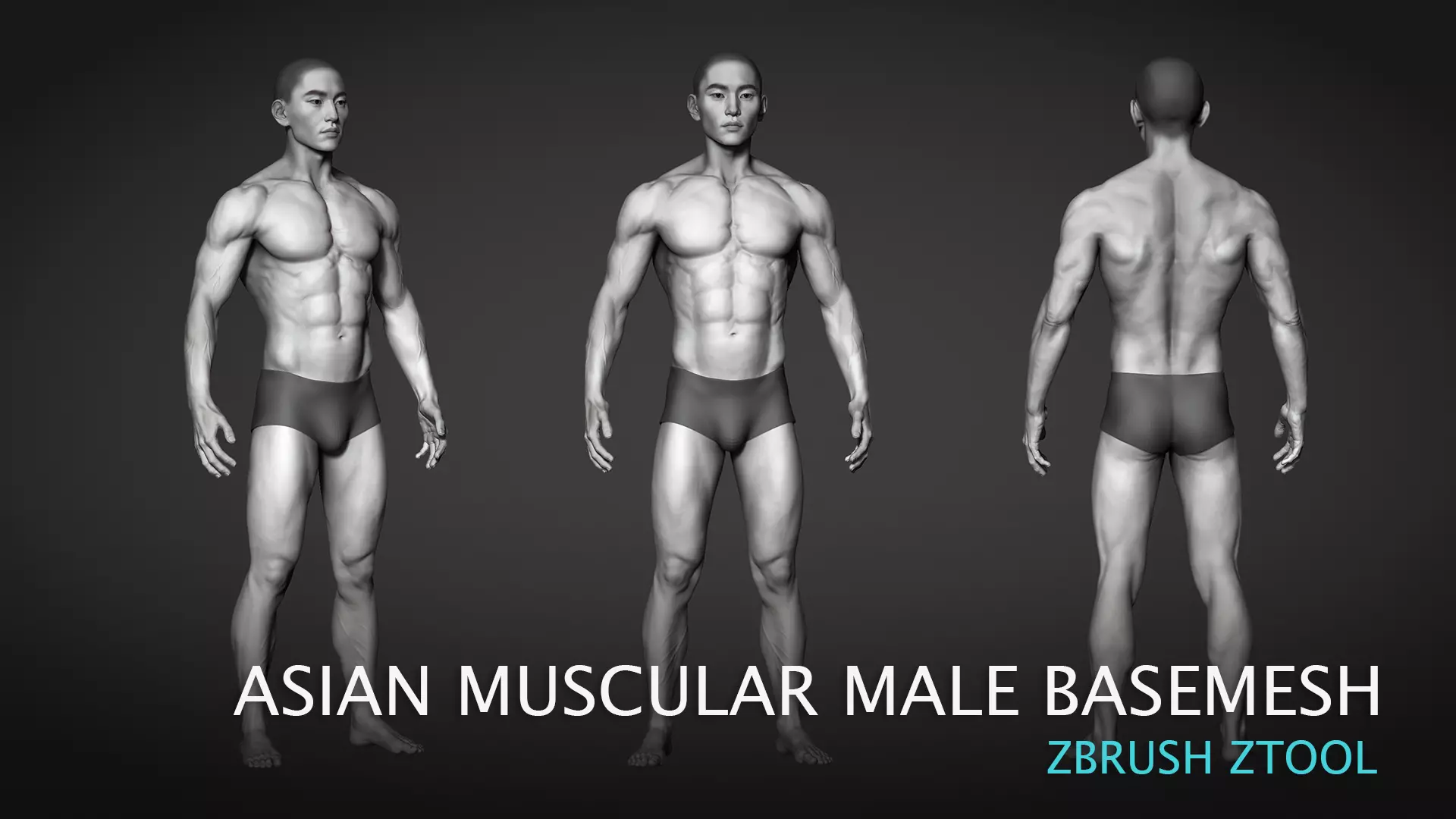 Asian Muscular Male Base mesh 3D model_0