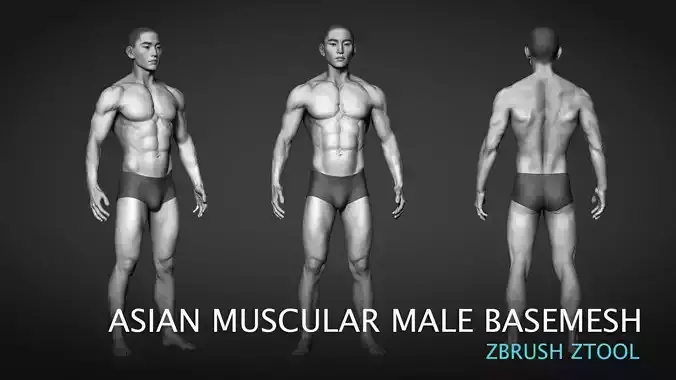 Asian Muscular Male Base mesh 3D model