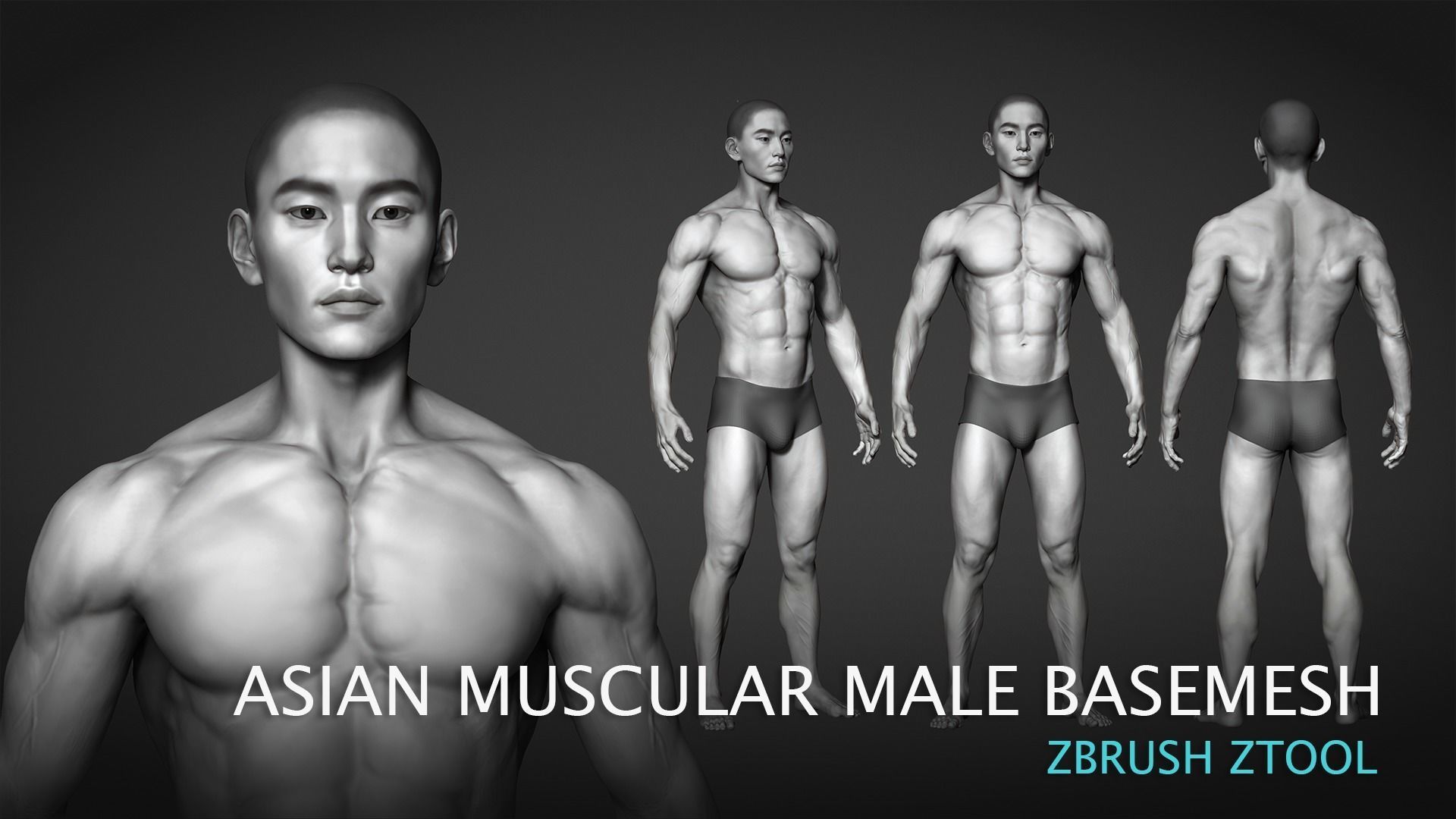 Asian Muscular Male Base mesh 3D model_2