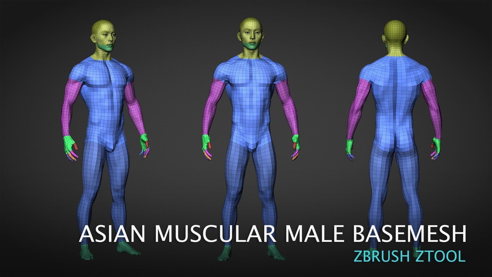 Asian Muscular Male Base mesh 3D model_4