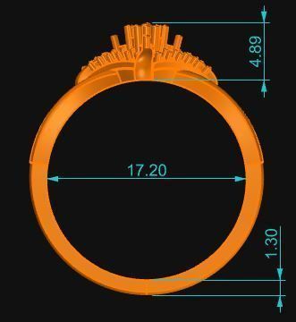 Minimalist Ring 54 3D print model_6